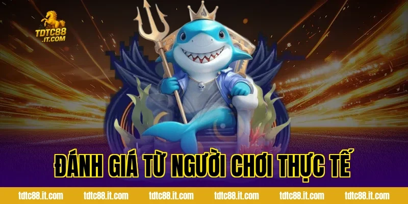 Đánh Giá Từ Người Chơi Thực Tế