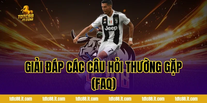 Giải Đáp Các Câu Hỏi Thường Gặp (FAQ)