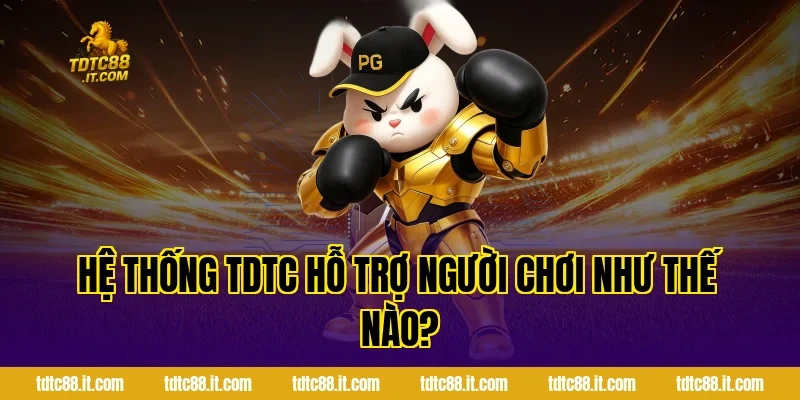 Hệ thống TDTC hỗ trợ người chơi như thế nào?