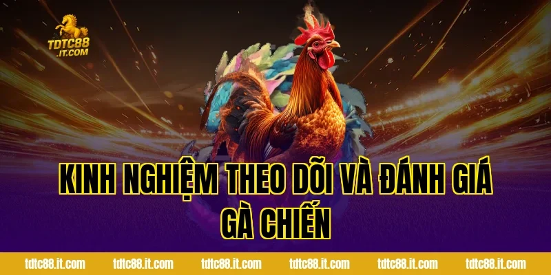 Đá Gà Cựa Sắt Hôm Nay TDTC – Thông Tin Và Nhận Định Hot 3 Kinh Nghiệm Theo Dõi Và Đánh Giá Gà Chiến