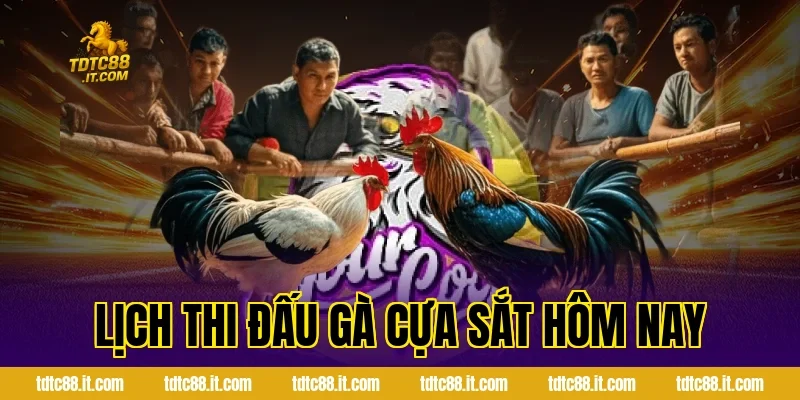 Đá Gà Cựa Sắt Hôm Nay TDTC – Thông Tin Và Nhận Định Hot 1 Lịch Thi Đấu Gà Cựa Sắt Hôm Nay