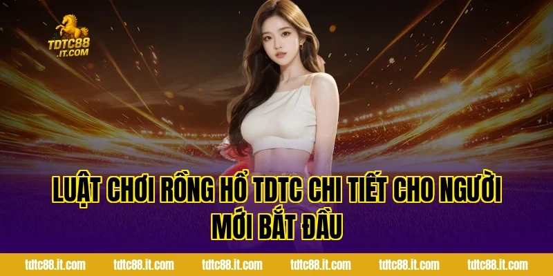 Luật chơi Rồng Hổ TDTC chi tiết cho người mới bắt đầu