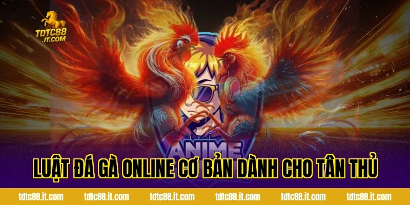 Luật đá gà online cơ bản dành cho tân thủ