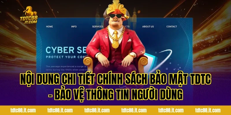 Nội dung chi tiết Chính Sách Bảo Mật TDTC – Bảo Vệ Thông Tin Người Dùng