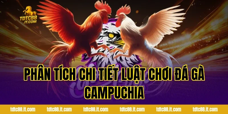 Phân Tích Chi Tiết Luật Chơi Đá Gà Campuchia