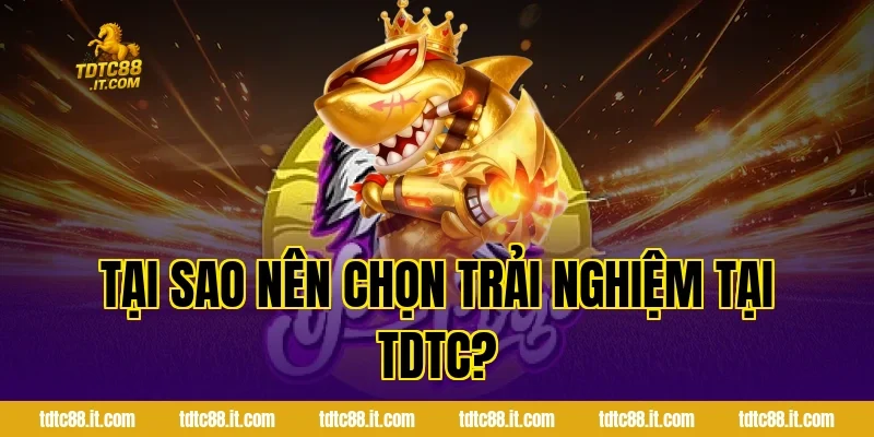 Tại sao nên chọn trải nghiệm tại TDTC?