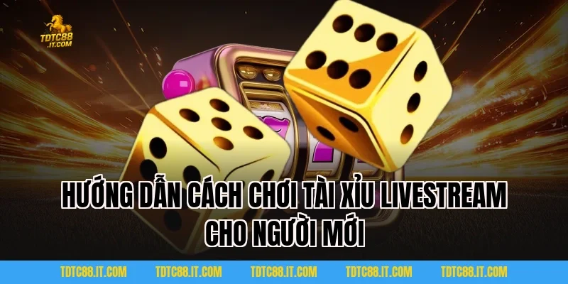 Hướng Dẫn Cách Chơi Tài Xỉu Livestream Cho Người Mới